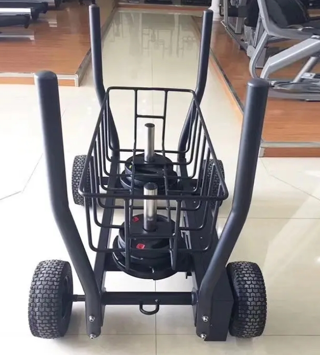 Macchina da Palestra Plate Loa - Fitness Equipment recensione e prezzo